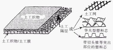 罗汉松分布于中国多省区